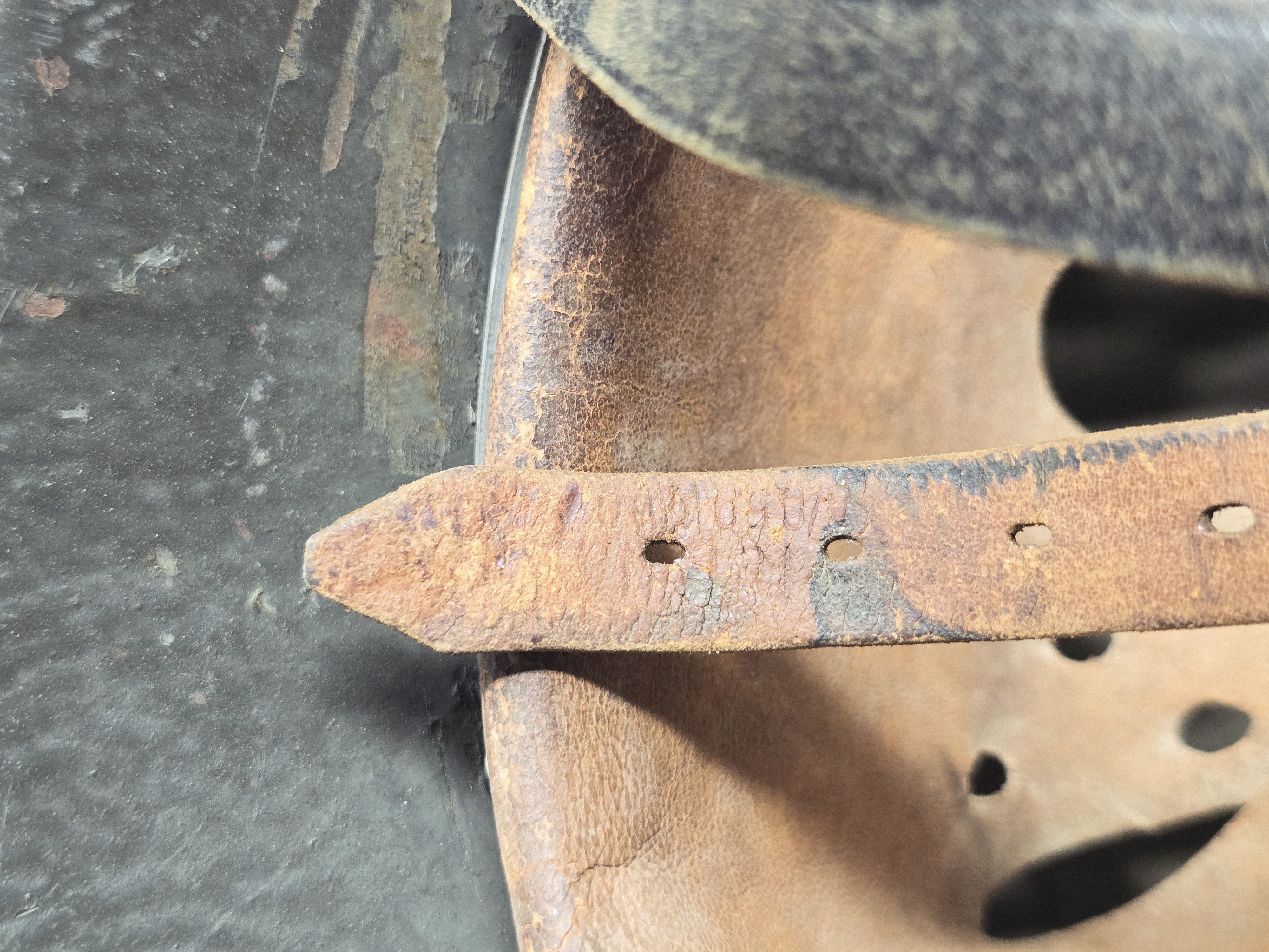 Sharp Heer Later War M42, HJK Adler — image 9