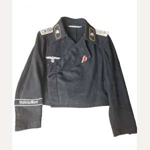 Stunning ,,Grossdeutschland” Armored Reconnaissance Wrapper