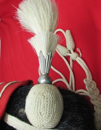  British Pre WWI, Enlisted, Buckinghamshire Yeomanry  (Royal Bucks Hussars) Busby — image 7