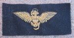 US WWII Navy Pilot Embroidered Wings, Gold on Blue