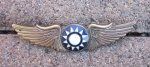 Chinese WWII Pilot Wings, Numbered, Pinback