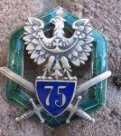 Polish Regimental Badge, Collectors Copy, 75th Infantry Regiment, Panasiuk