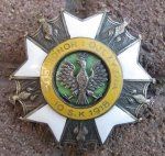 Polish Regimental Badge, Collectors Copy, 10th Mounted Rifles, Panasiuk