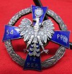 Polish Regimental Badge, Collectors Copy, 54th Infantry Regiment