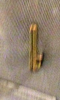  French WWI Officers Horizon Blue Tunic, 22nd Regiment — image 6