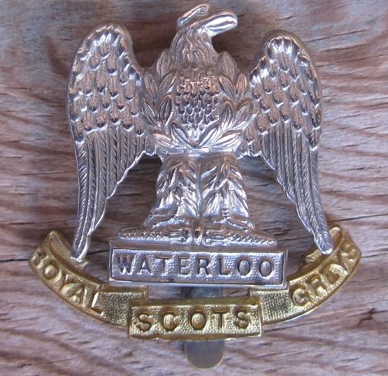  British WWI-WWII Scots Greys Cap Badge, Bi-Metal — image 2