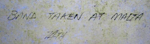  British Pre WWI, Highland Light Infantry Bandsmen Cabinet Card — image 4