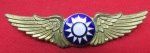Chinese WWII Pilot Wings Clutchback Serial Numbered 467