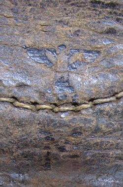  German WWII Kriegsmarine Aluminum Enlisted Buckle & Tab, 1937 — image 6