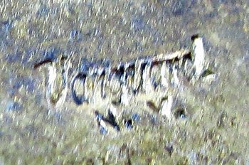  US WWII Navy Observer Wings, Fullsize & Mini, Vanguard Mfg, Pinback, — image 4