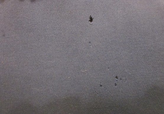  Austrian Imperial Era, Dragoon Officers Winter Fur Jacket — image 7