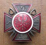 Polish Regimental Badge, Cavalry, Engineer? Collector Copy