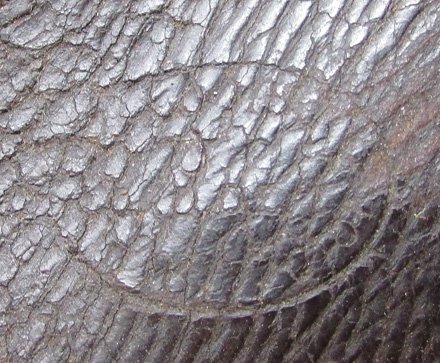  US Civil War M1864 Cartridge Box and Leather Sling — image 3