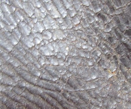  US Civil War M1864 Cartridge Box and Leather Sling — image 4