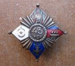 Polish Regimental Badge, 43rd Rifles Boynon Legion, Panasuik Mfg, Collector …