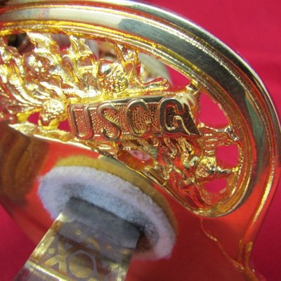  US Current Era US Coast Guard Officers Sword and Carrier, Triple Etched Blade — image 9