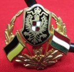 Austro Hungarian WWI Enameled Patriotic Badge