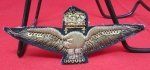 Hungarian WWII, Royal Hungarian Air Force Pilot Wings, Wire Embroidered