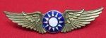 Chinese WWII Pilot Wings Clutchback Serial Numbered 244