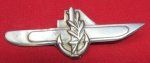 Israel Cold War Era Submariners Badge