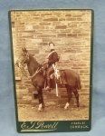 British, 19th Century Cabinet Card, Cavalryman & Horse