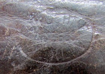  German Pre WWI, M1847 Prussian Enlisted Buckle & Tab, 4 Solder Points — image 4