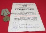 Soviet WWII, Stalingrad Medal & Document, 1944, 49279