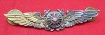 US Navy Navigator Wings, AMICO, 10k GF on Sterling, Clutchback