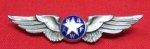 US WWII Enameled Sterling Wings, National Association Air Force Women, …