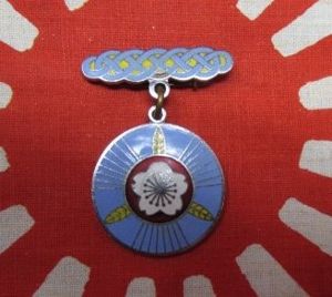 Japanese WWII, Greater Japan Air Defense Association