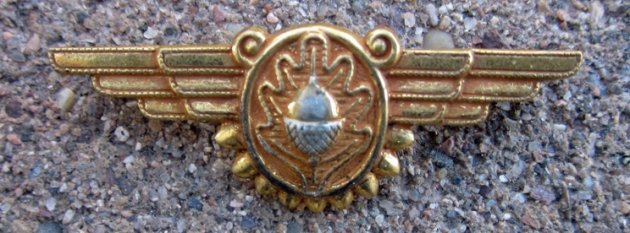 US WWII Navy Miniature Flight Surgeon Wing, Vanguard NY — image 2