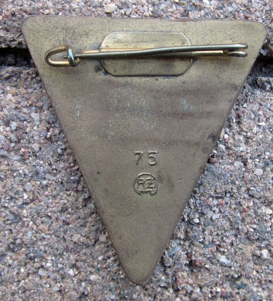 German WWII, Large Size, NS-Frauenschaft Badge — image 3