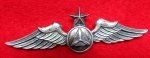 US WWII Eras Gemsco Civil Air Patrol Senior Pilot Wings, …
