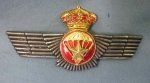 Spanish, Juan Carlos Era, Air Force Wing, Airborne