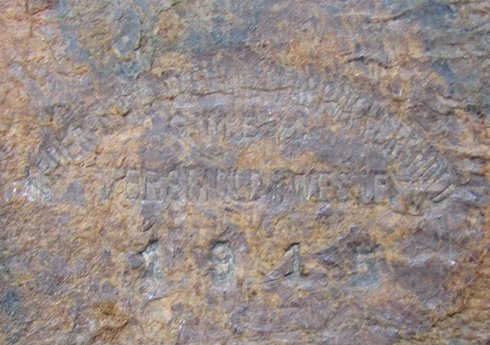  German Imperial Era, Chinese Contract 1881 Rifle Dress Bayonet, WKC — image 3