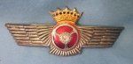 Franco Era, Spanish Air Force, Drivers Wings