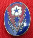 US WWII Advanced Sector, Enameled Distinctive Insignia Pinback