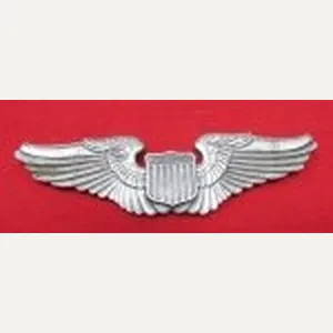 US Pre WWII, 1930's Army Air Corps Pilot Wings, Gemsco …