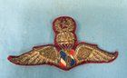 Royal Thai Airborne Police Bullion Wing