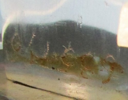  Chinese, Current Era, Cavalry Sword, Japanese Pattern — image 5