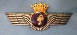 Spanish, Franco Era, Air Force Medical Personnel Wing