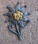 German WWII Gebirgsjager Edelweiss Flower Hat Badge