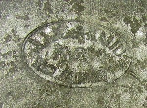  French WWI Double Spout Canteen — image 4