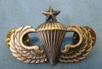 US Cold War Era Senior Parachutists Wings, Sterling Marked