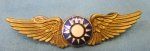 Chinese WWII Pilot Wings, Clutchback, Serial Numbered 273