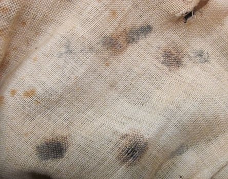 US Civil War M1854 Mounted Artillery Enlisted Shell, Size 4 Jacket — image 8