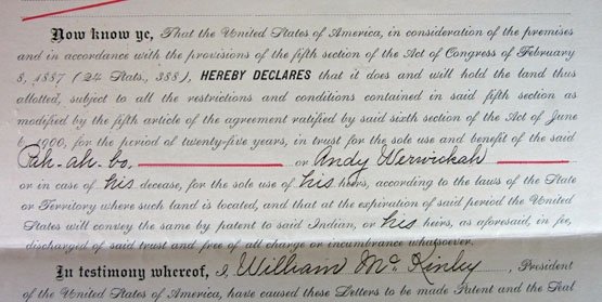 US Oklahoma Territory Comanche Indian Land Grant 1901 — image 4