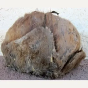 US Indian War Era US Army Muskrat Fur Winter Cap, …