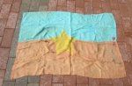 North Vietnamese Battle Damaged Flag