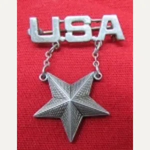 US WWII, Brigadier General Sweetheart Pin, Sterling
